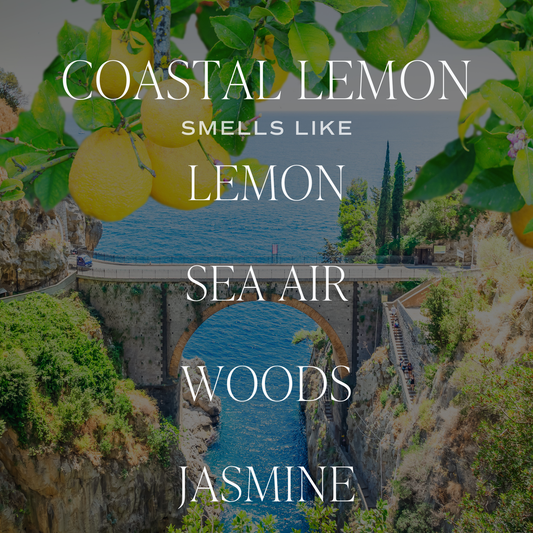 COASTAL LEMON Non Toxic Premium Soy Candle