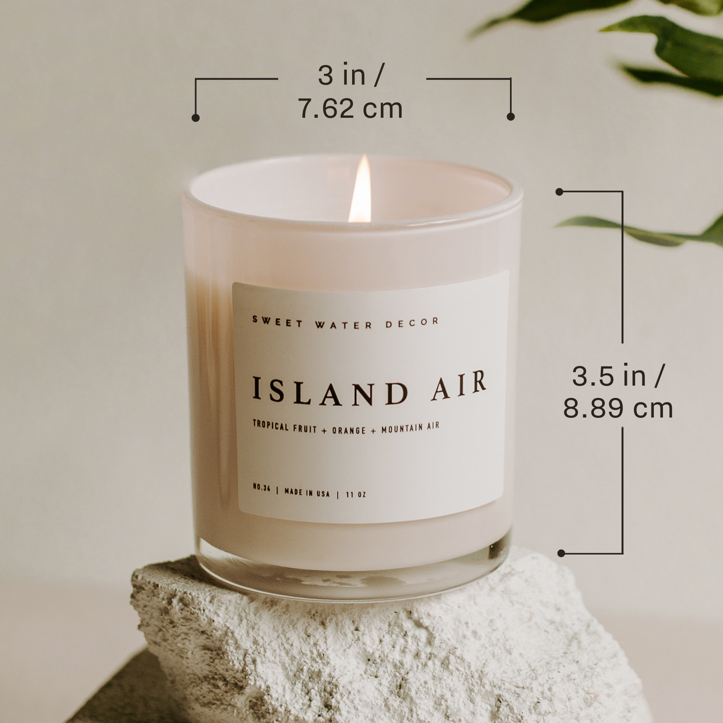 COASTAL LEMON Non Toxic Premium Soy Candle