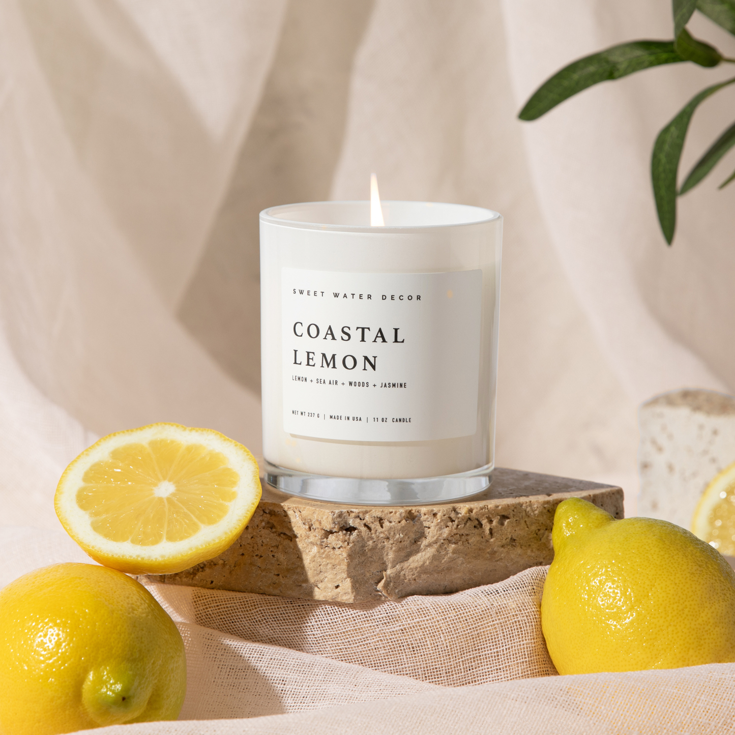 COASTAL LEMON Non Toxic Premium Soy Candle