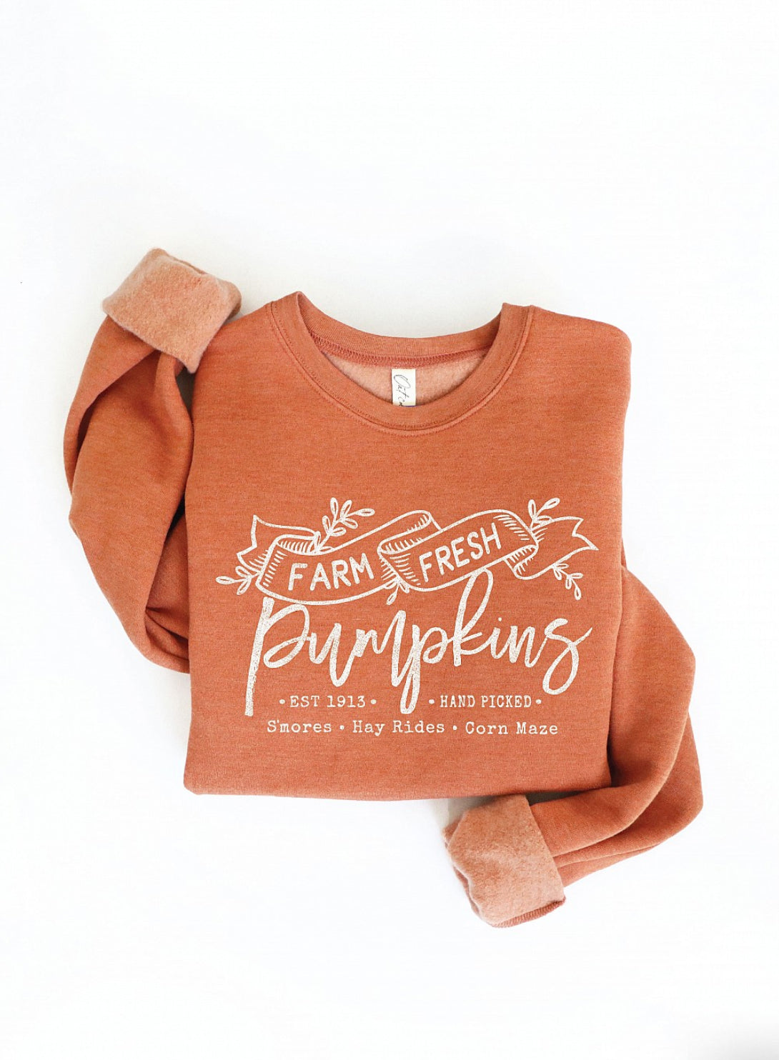 FARM FRESH Pumpkins Sweatshirt, Three Colors