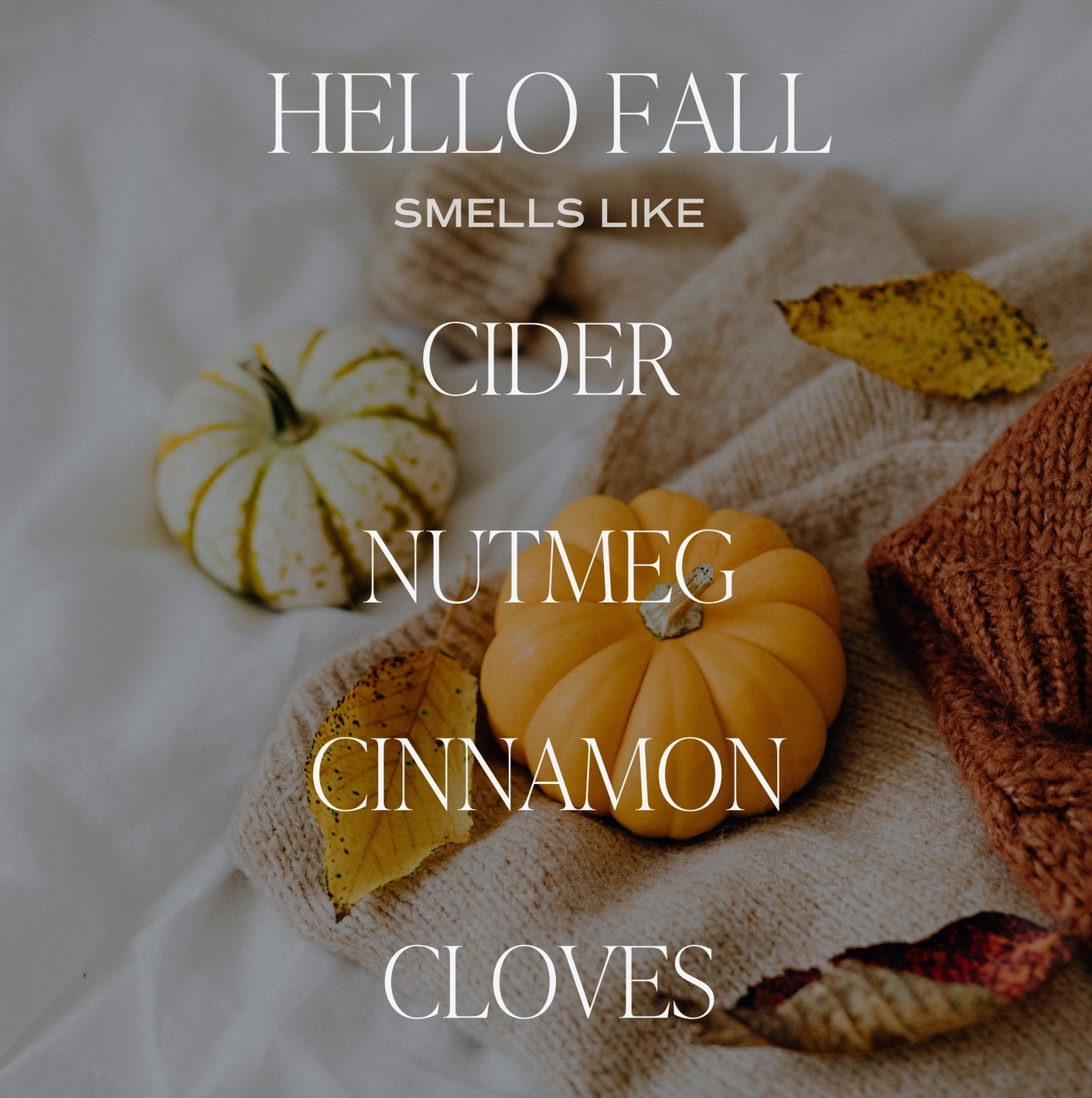 BACK IN STOCK! HELLO FALL Non Toxic Premium Fragrance Candle - Jade Creek Boutique
