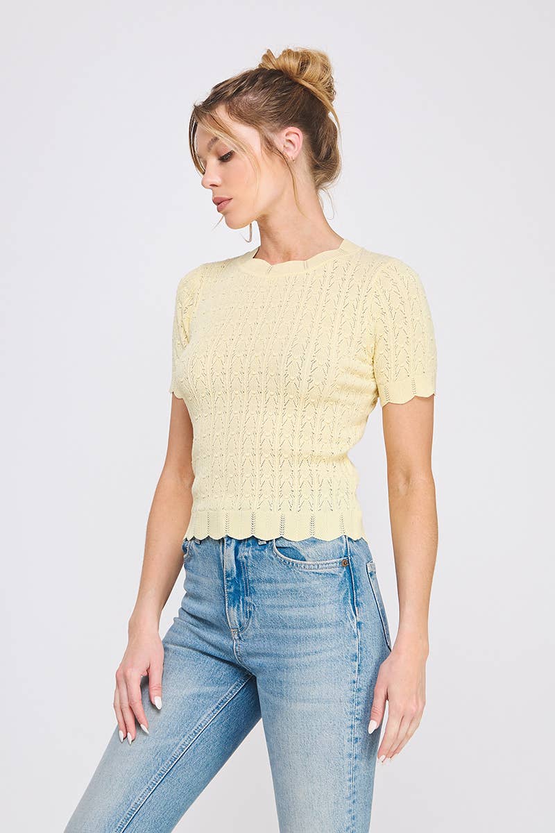Pastel Yellow Pointelle Knit Top