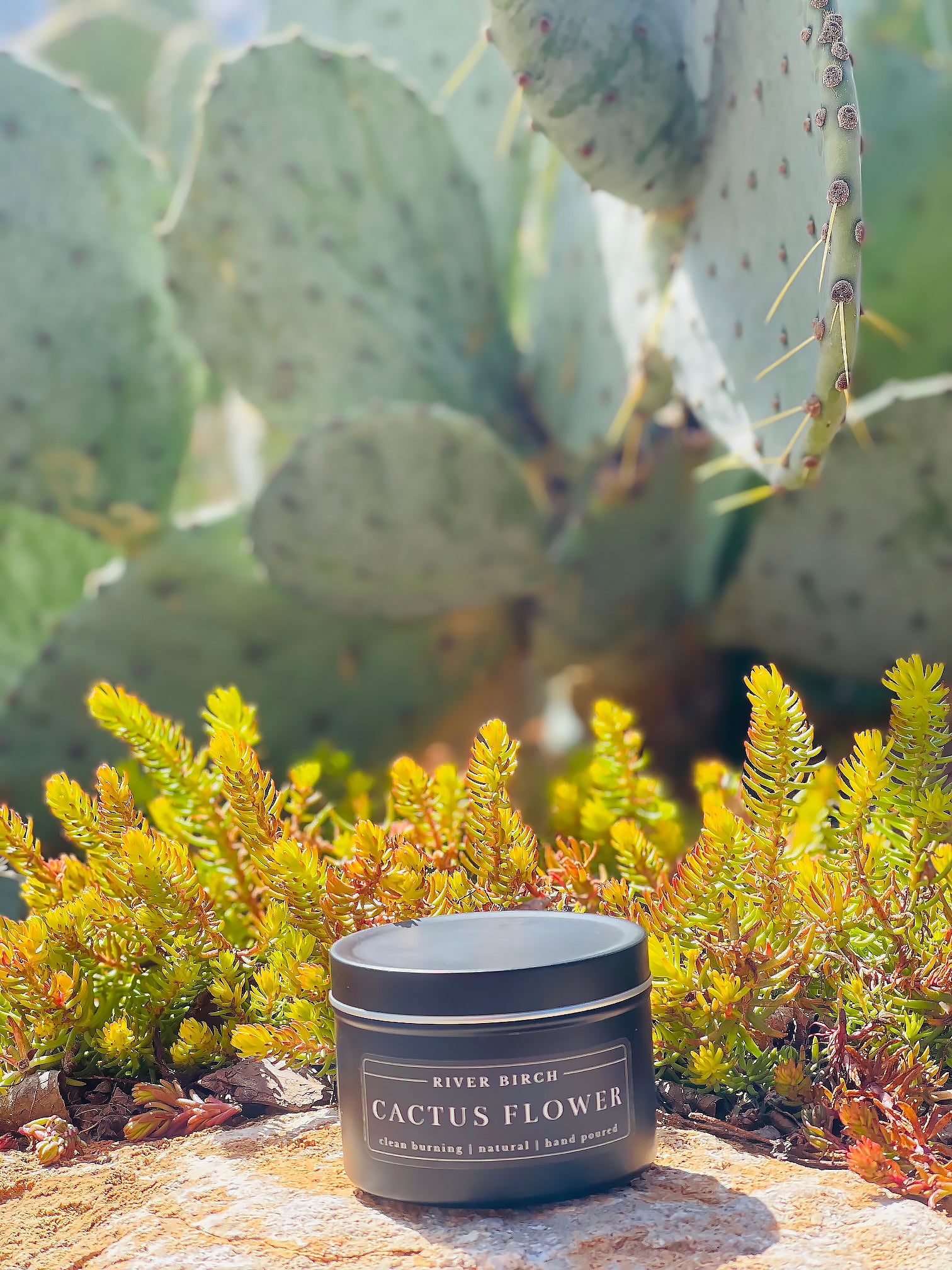 Cactus Flower Soy Candle - CLEAN BURNING - Jade Creek Boutique